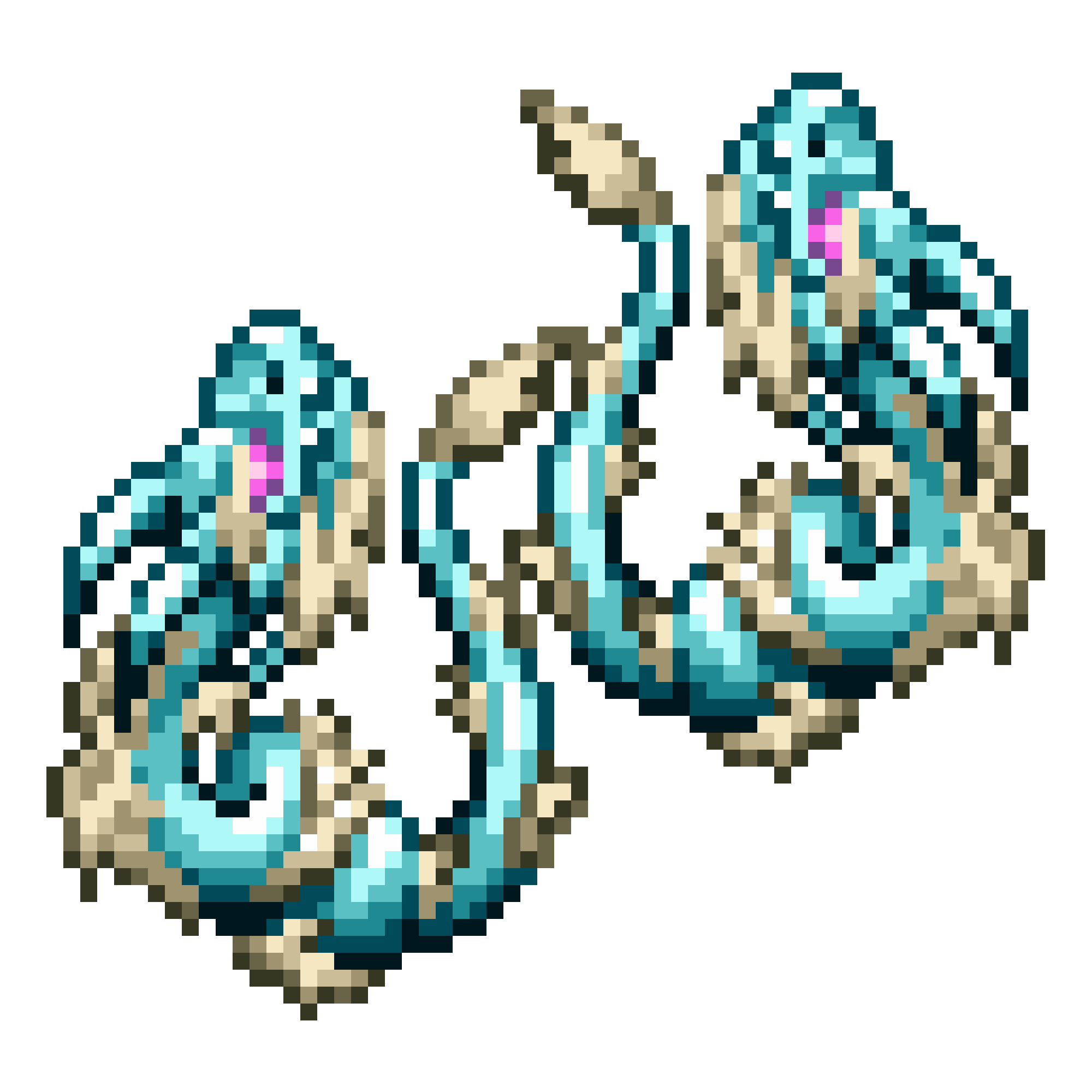 Token instance image